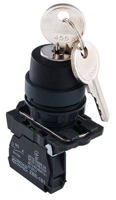 TB5-AG21 Кнопка поворотная с ключом 2-позиционная A0140010153 фото